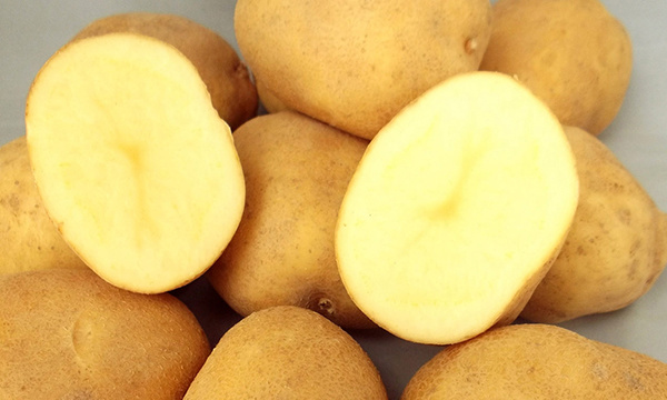 北海道産じゃがいも北あかり等